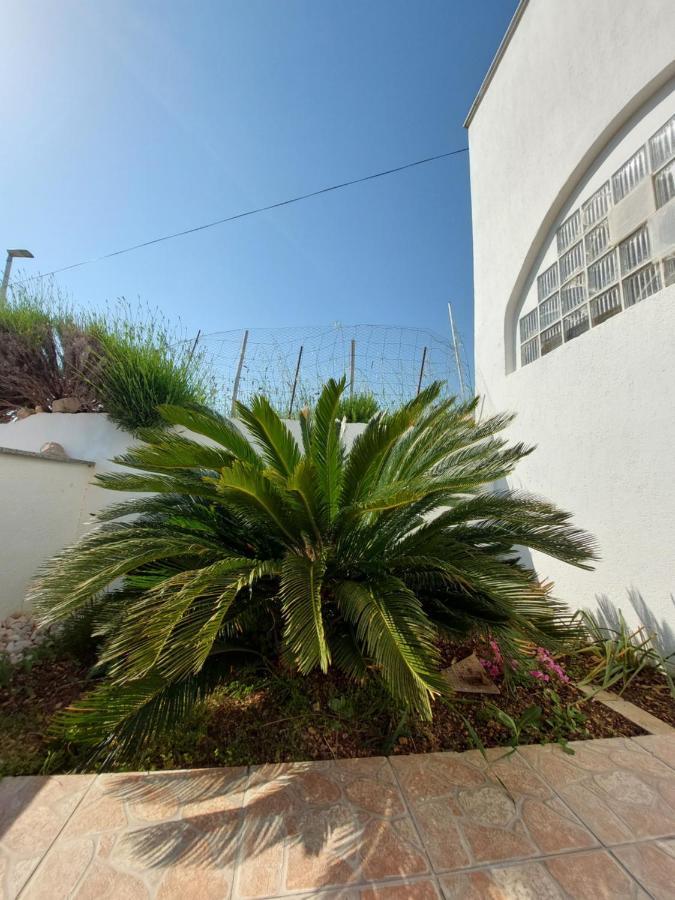 Apartments Markulincic ノヴァリャ エクステリア 写真